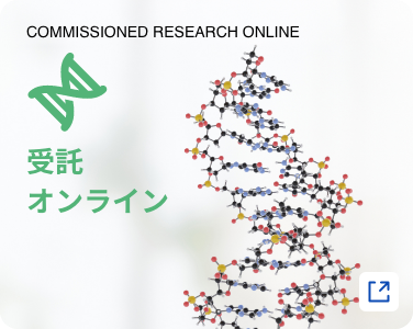 COMMISSIONED RESEARCH ONLINE/受託オンライン