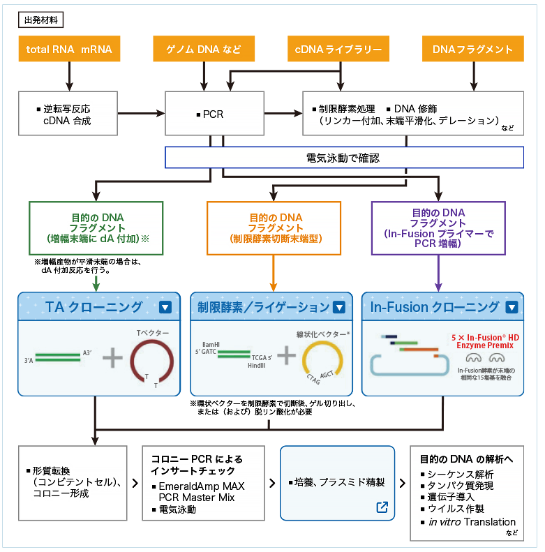 出発材料